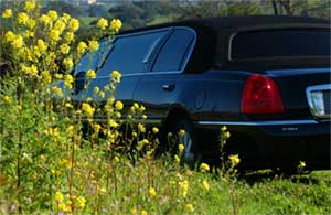 NYC LImo | Wine Tours